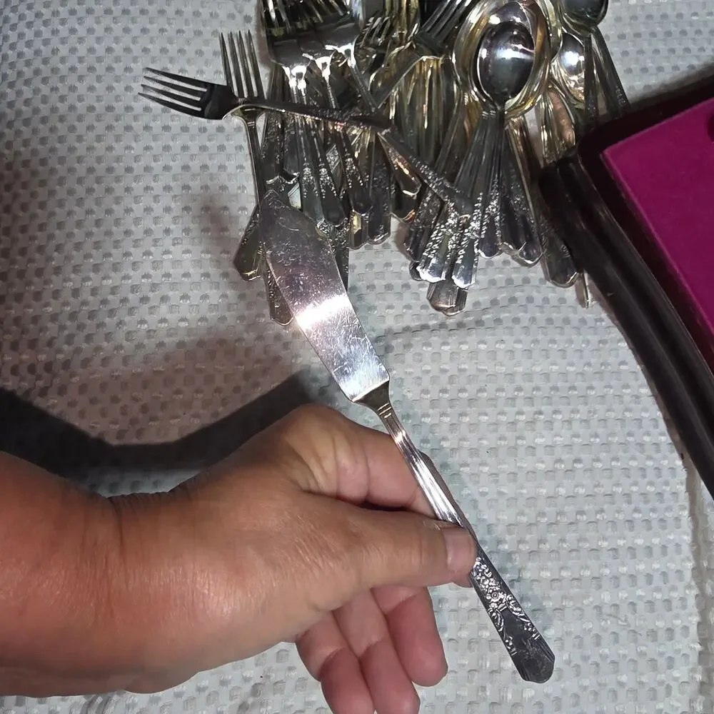 SIMEON L & GEORGE H RODGERS 49 PCS SILVER PLATED JASMINE SILVERWARE SET  (1939)